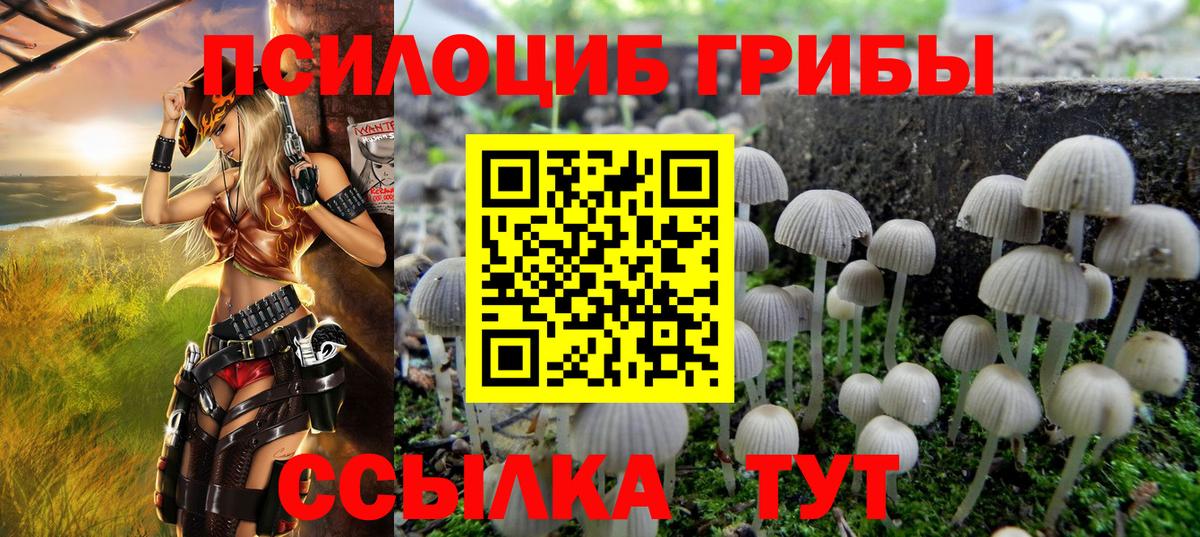 Галлюциногенные грибы мицелий  наркотики  Кашира  Вход с VPN 